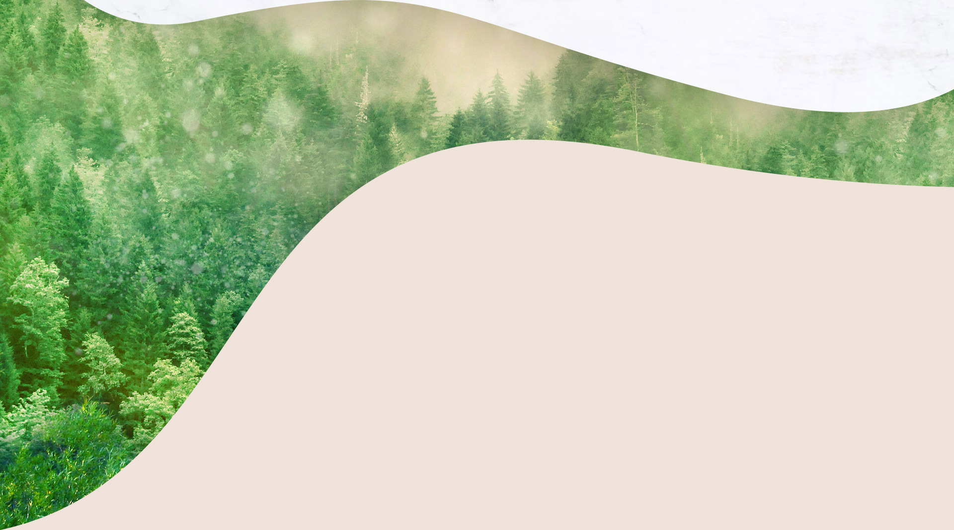 新闻资讯-1920*1067