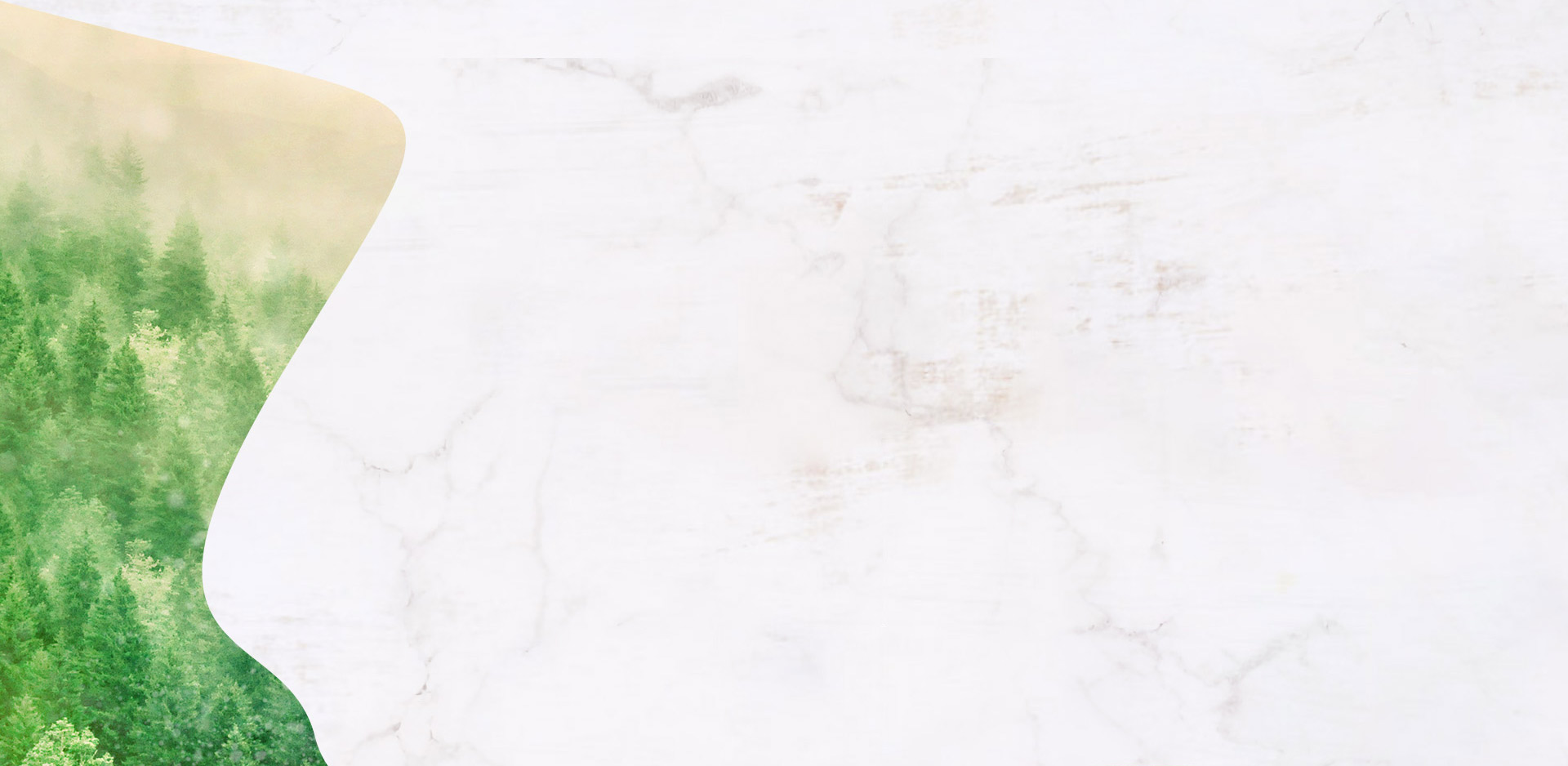 麻将桌&寿司盒背景图-1920*938